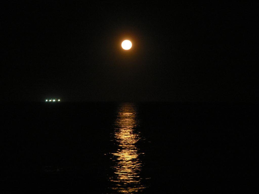ESPECTACULAR Alem 5007 piso 7 Lejlighed Mar del Plata Værelse billede